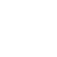 石焼きステーキ贅